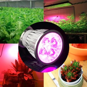 LED GROW žiarovky - séria PROFI LED GROW žiarovky - séria PROFI
